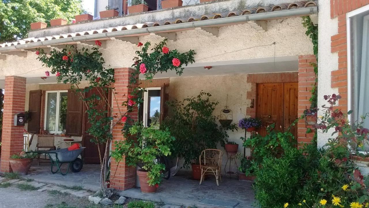 B&B La Gallinella Rossa Baschi Extérieur photo