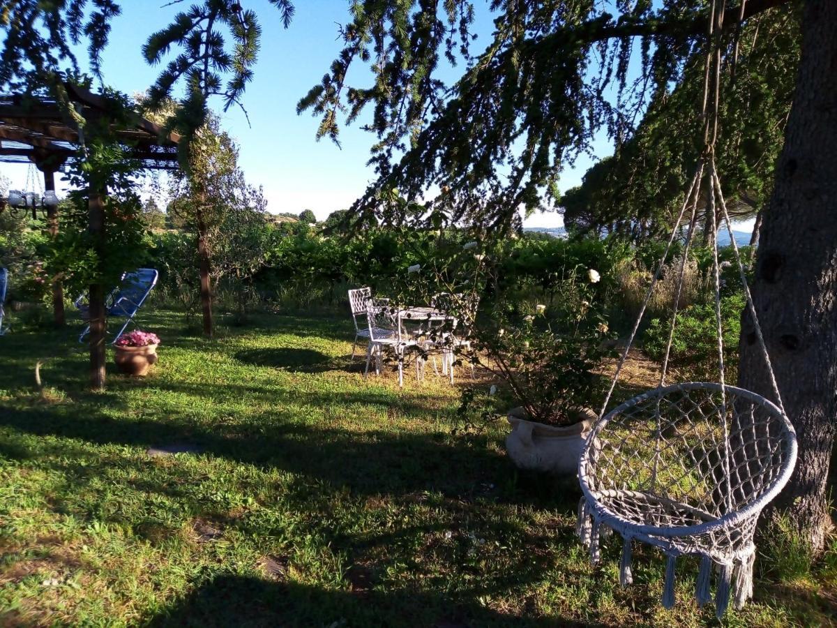 B&B La Gallinella Rossa Baschi Extérieur photo