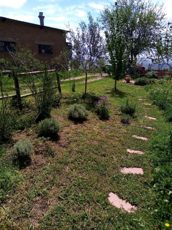 B&B La Gallinella Rossa Baschi Extérieur photo
