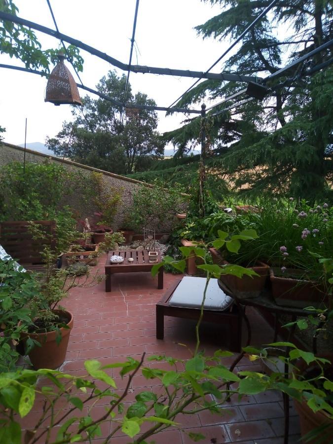 B&B La Gallinella Rossa Baschi Extérieur photo