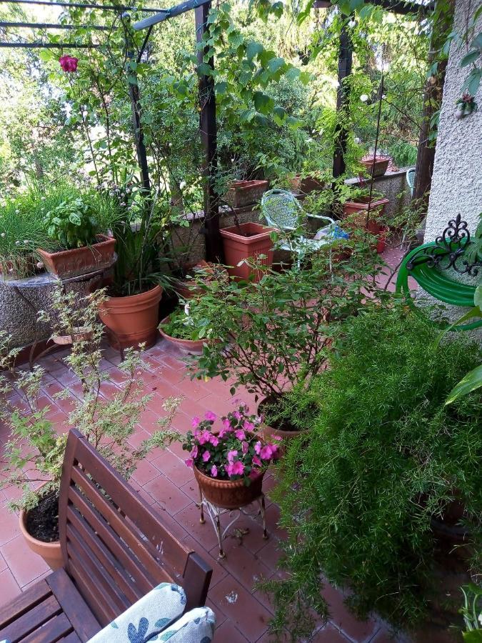 B&B La Gallinella Rossa Baschi Extérieur photo
