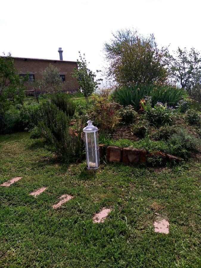 B&B La Gallinella Rossa Baschi Extérieur photo