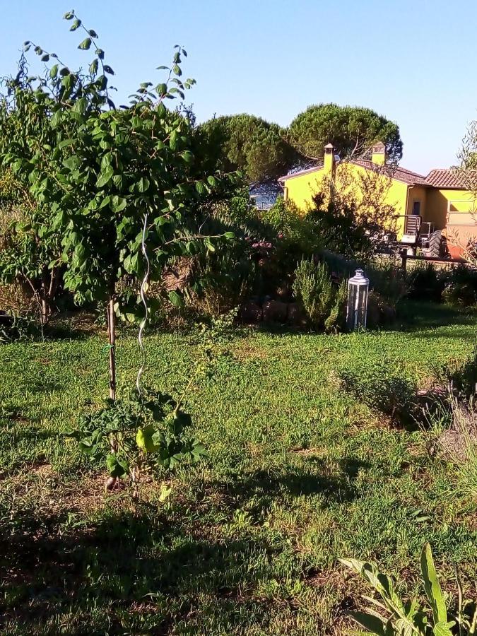 B&B La Gallinella Rossa Baschi Extérieur photo