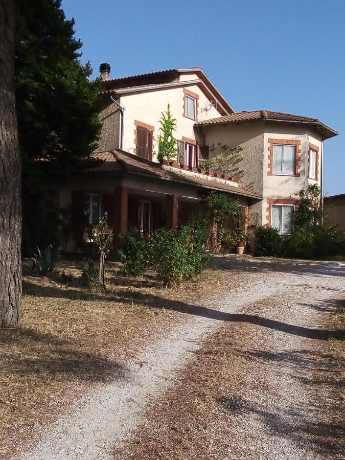 B&B La Gallinella Rossa Baschi Extérieur photo